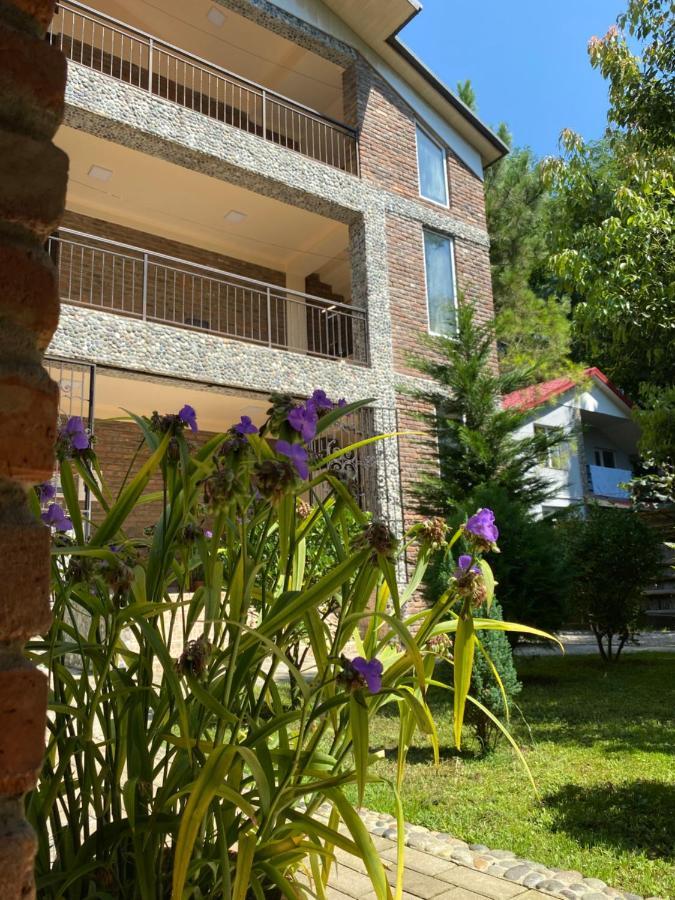 Guest House Shekvetili ภายนอก รูปภาพ
