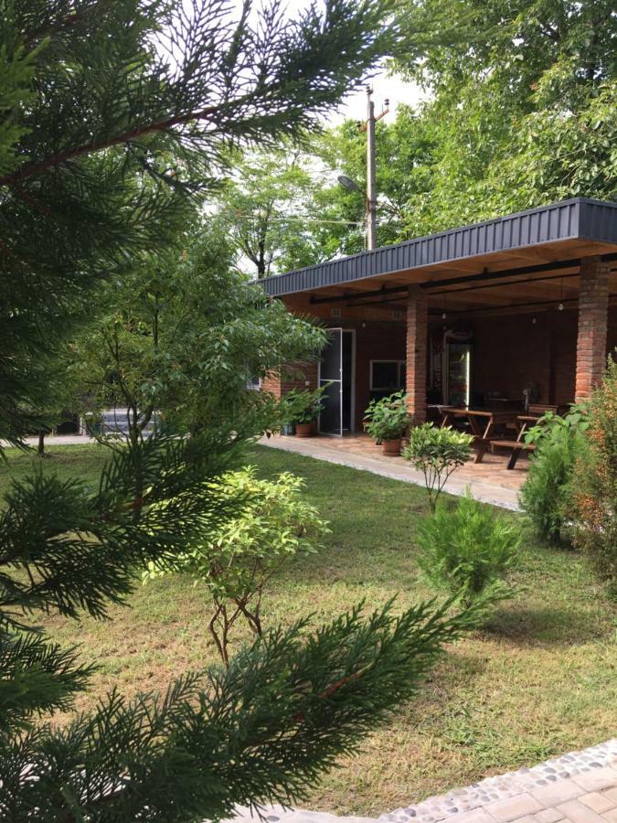 Guest House Shekvetili ภายนอก รูปภาพ
